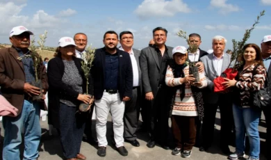 Üreticiye zeytin fidanı desteği