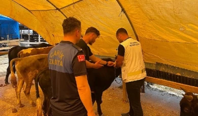 Canik’te Bayram Hazırlıkları Son Sürat