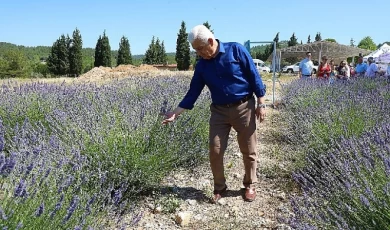 Muğla Büyükşehir Lavanta Bahçesi Yeni Sezona Hazır