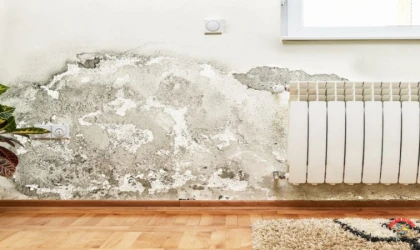 Duvar Küfüne Kesin Çözüm! Rutubet Lekeleri Nasıl Temizlenir? (Mucize Karışım)