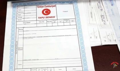 Tapu Sahipleri Dikkat! İslam Memiş Uyardı: Eviniz ve Arsanız Elinizden Gidebilir!